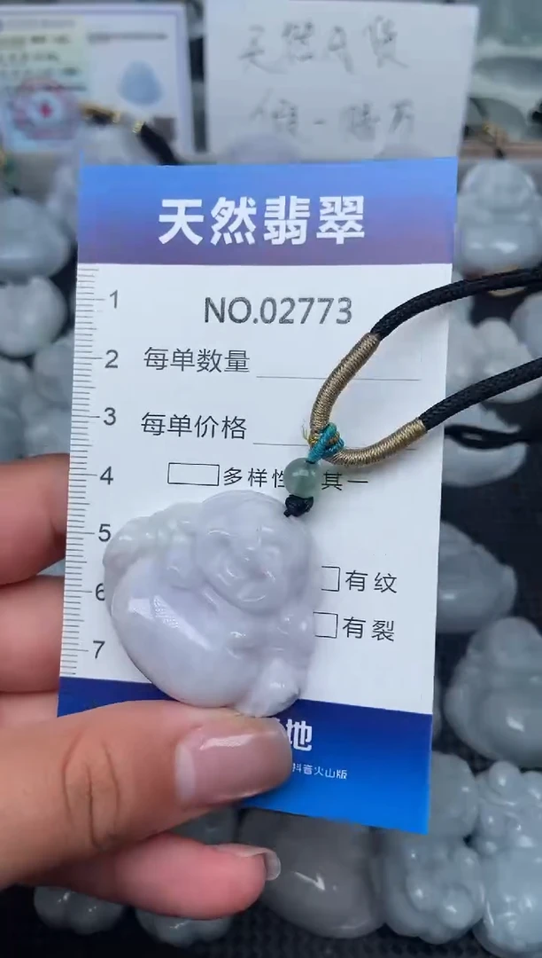 颈饰未镶嵌翡翠纯天然A货翡翠2773
