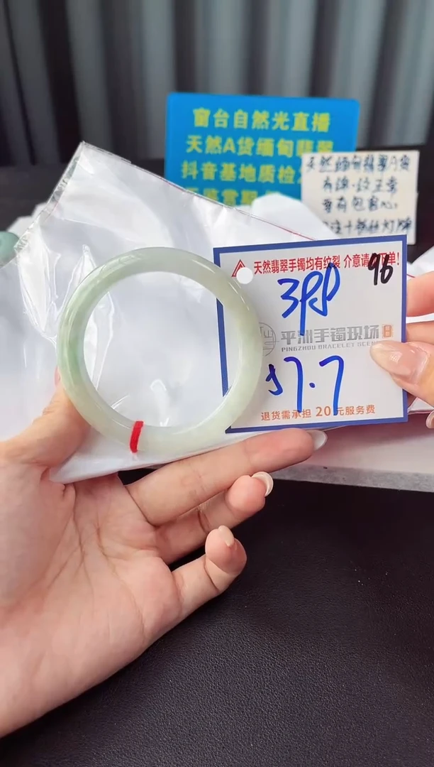 未镶嵌手镯翡翠11111