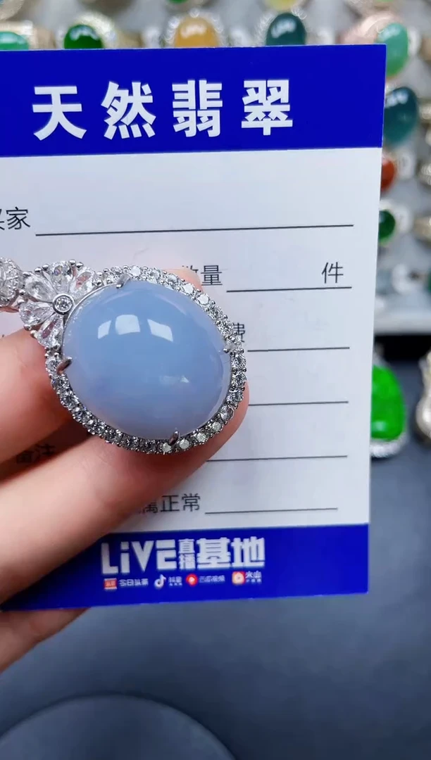 颈饰银S925镶嵌翡翠376