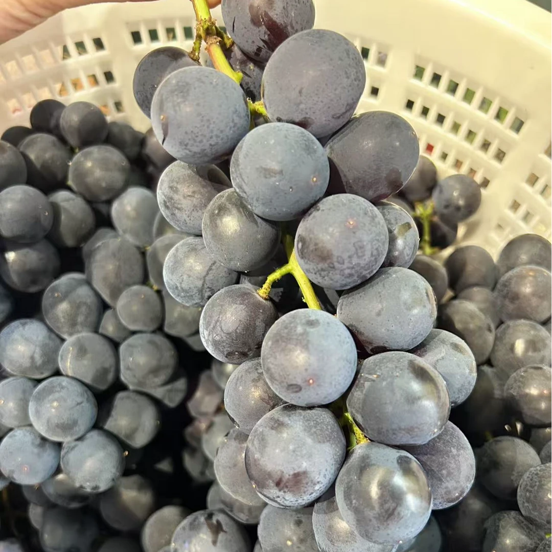巨峰葡萄约1000g±50g