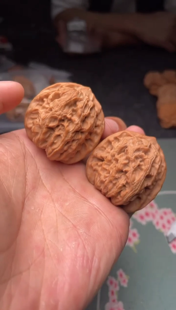 把件文玩核桃a330   龙脉 40尺