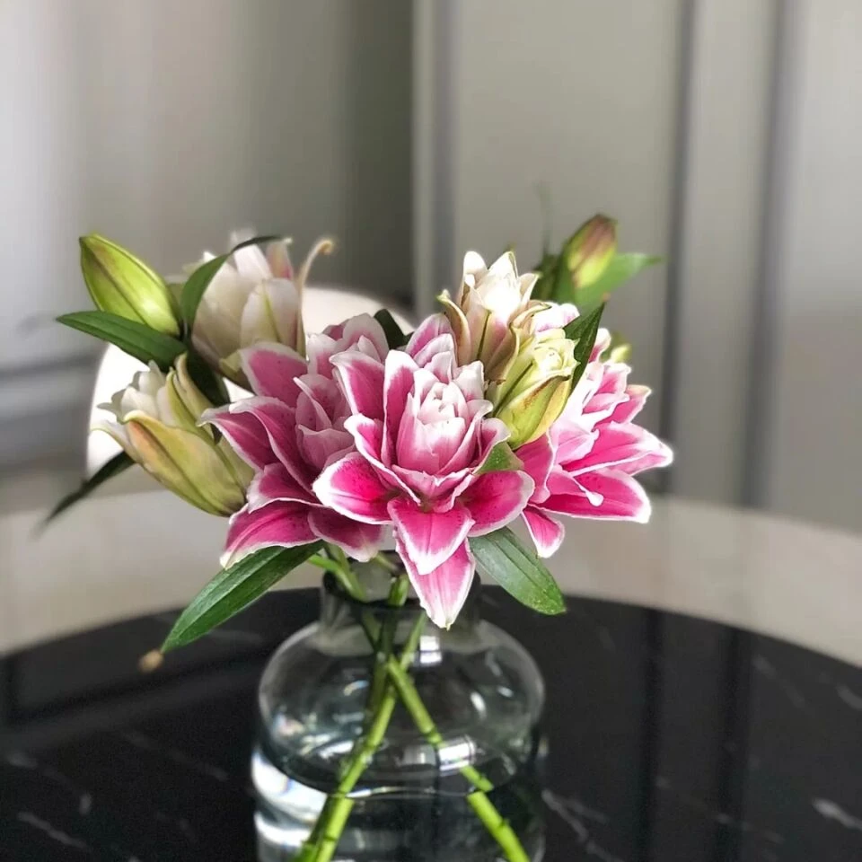 67 粉色重瓣百合4支4朵+小头小太阳向日葵3支+绿色康乃馨10支