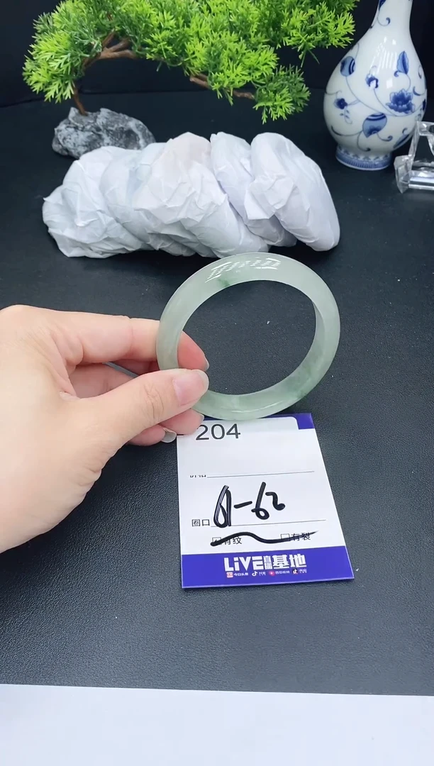 未镶嵌手镯翡翠四**成204