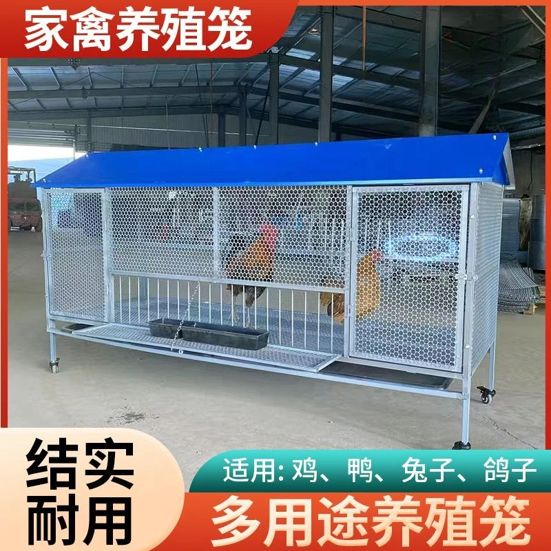 户外自动收蛋鸡笼探出笼吃食喝水可防老鼠可防黄鼠狼鸡笼鸭笼防鼠