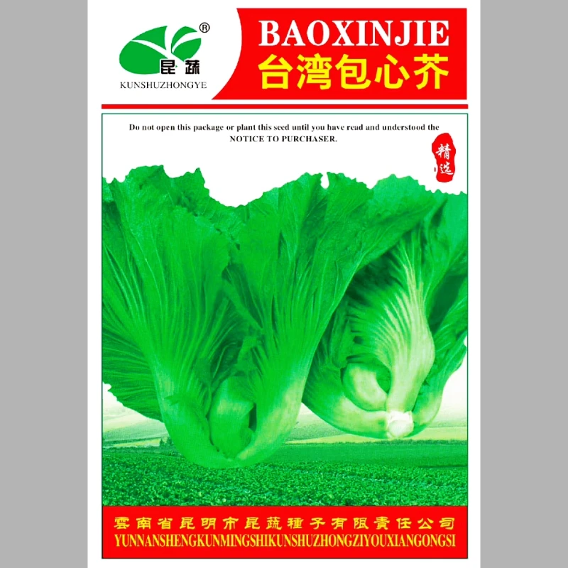 昆蔬包心芥菜种子 芥菜种籽 贵州包心芥菜种子可腌制酸菜