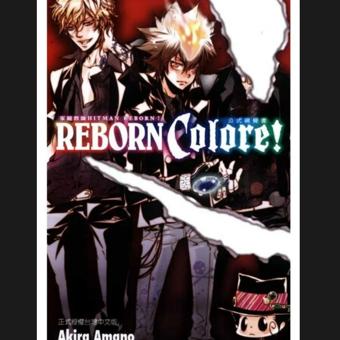 现货【外图台版】家庭教师HITMAN REBORN!公式视觉书 (全)