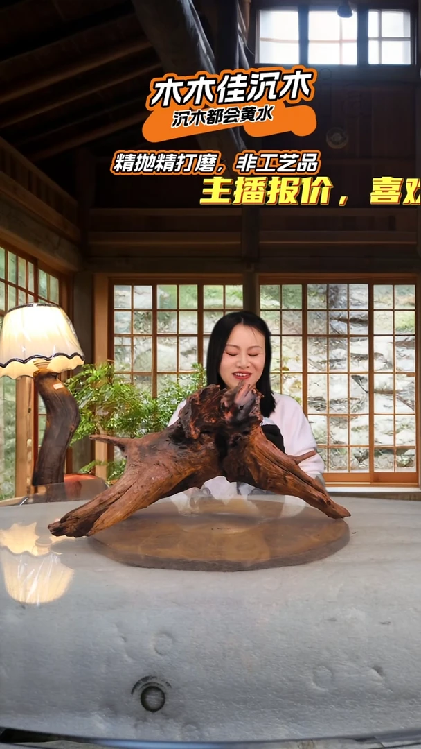 蜗*木木佳沉木鱼缸造景