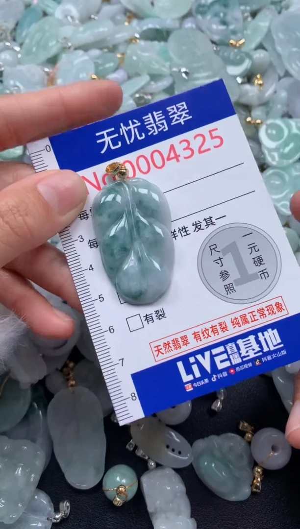 颈饰未镶嵌翡翠4325