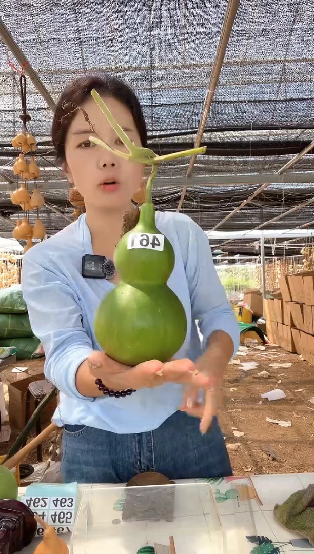 461天然葫芦摆件 一物一拍龙头不保售后微瑕疵