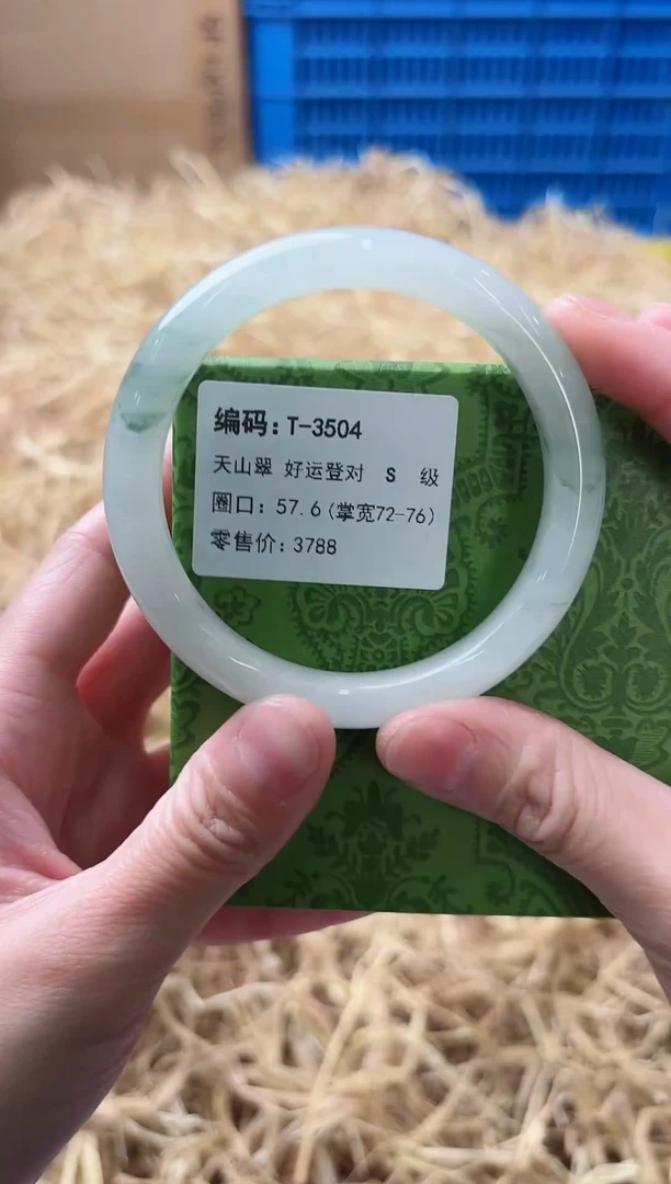 未镶嵌手镯石英质玉T-3504