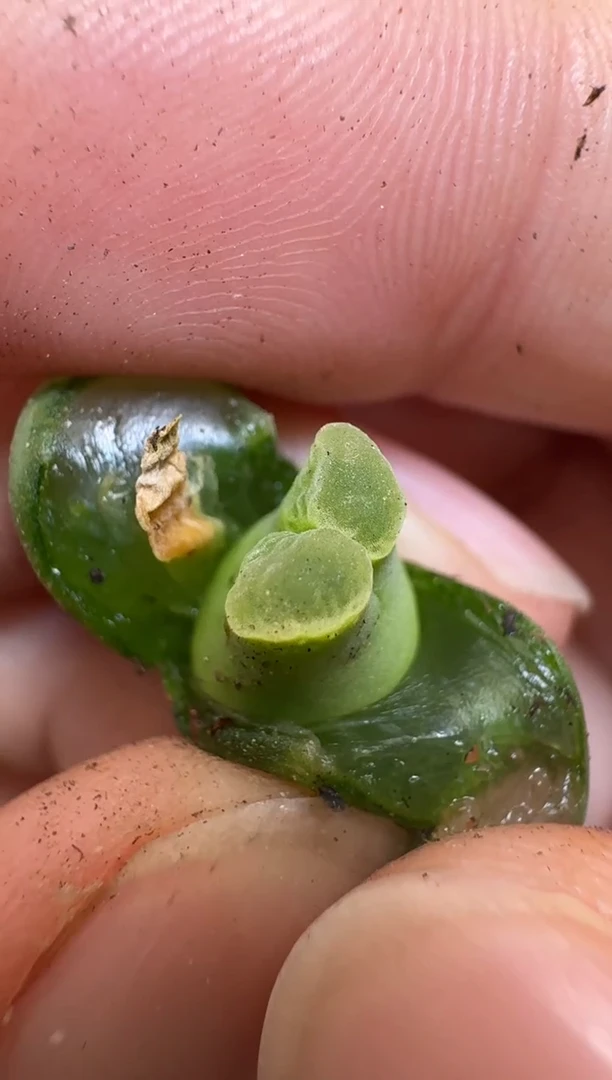 【闪购商品】2/4-183