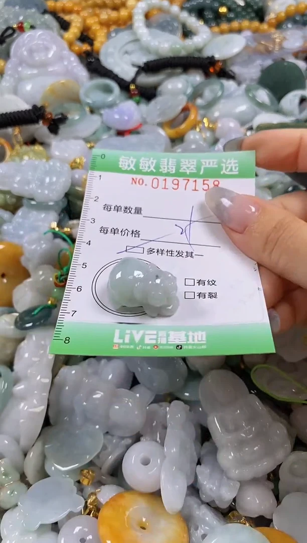 翡翠未镶嵌颈饰闪购0197158多样性发其一