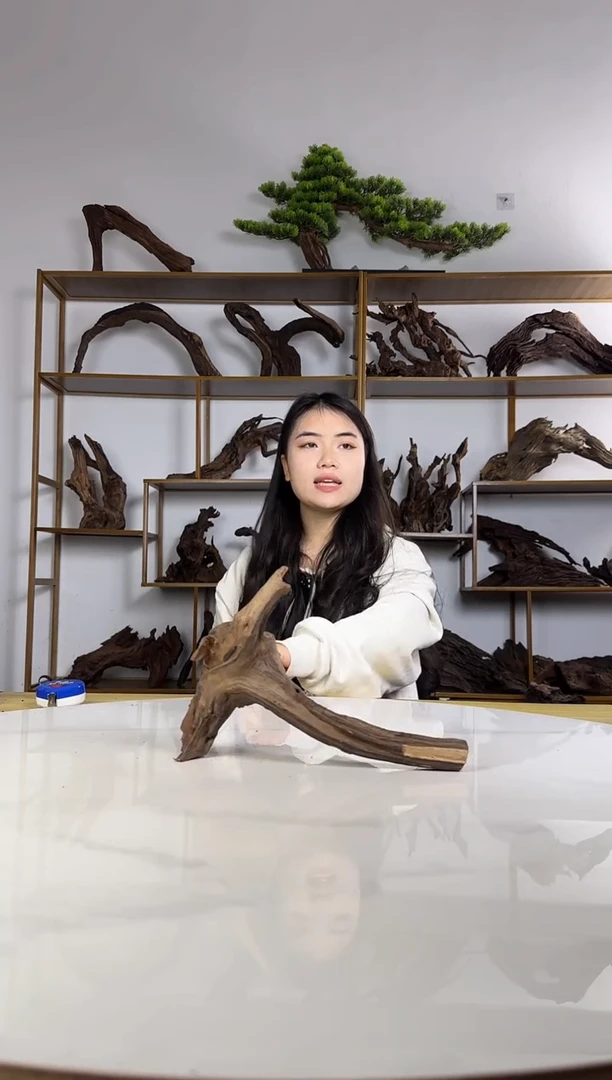 养****子拍沉木定向链接编号38