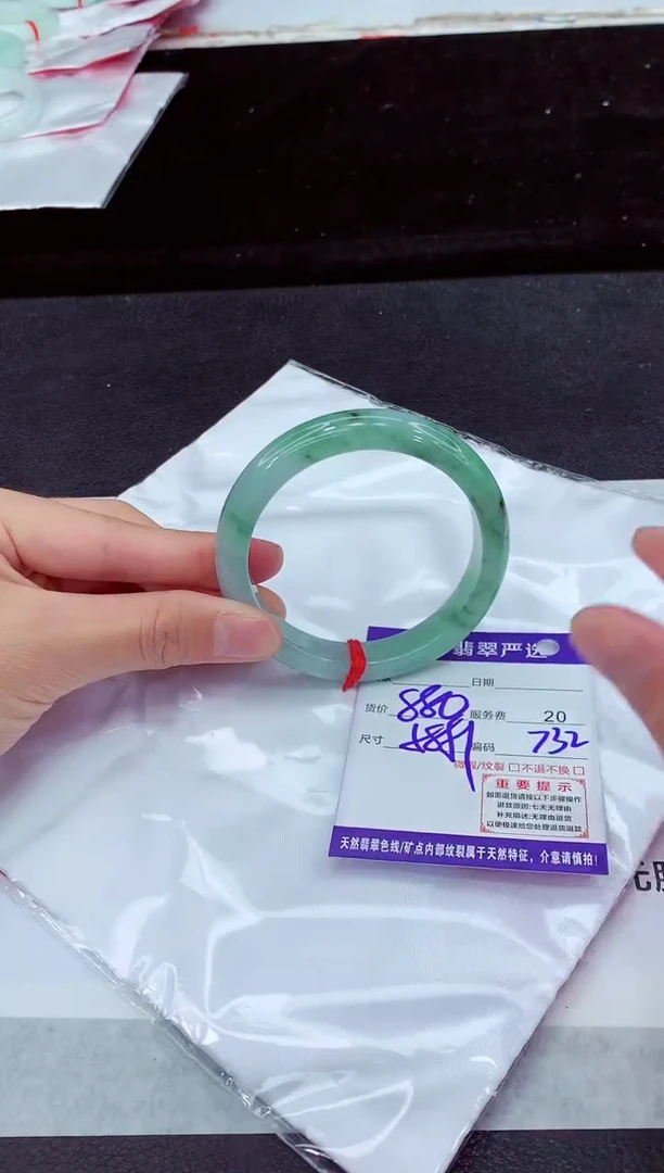 未镶嵌手镯翡翠11