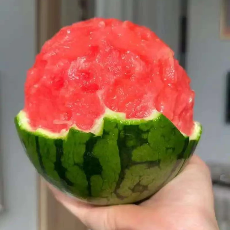 小糖丸西瓜2斤-4斤左右个西瓜同城送山东省