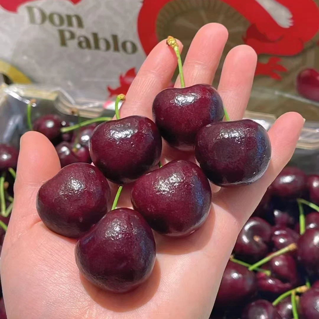 【年货节】2JD-桑提娜-黑色车厘子-一斤装