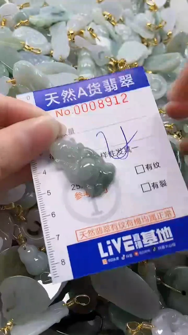 颈饰未镶嵌翡翠纯天然a货翡翠