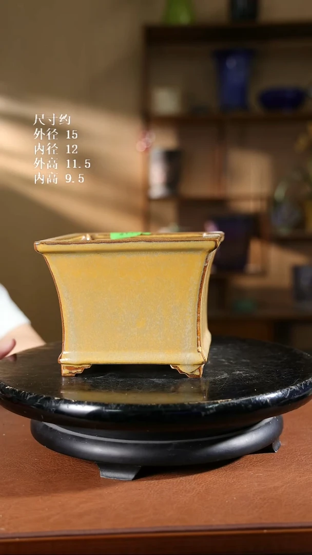115   5.5寸飘口兰盆