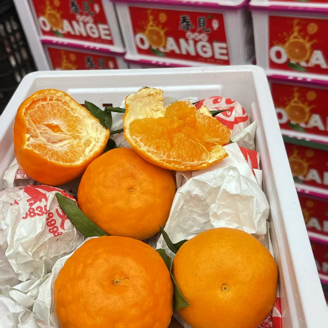 四川春见耙耙柑一筐2500g柑橘四川省