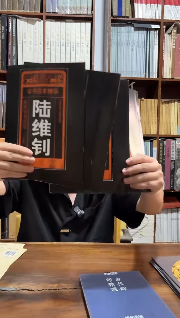 XL书法临摹学书范本精华5本一套