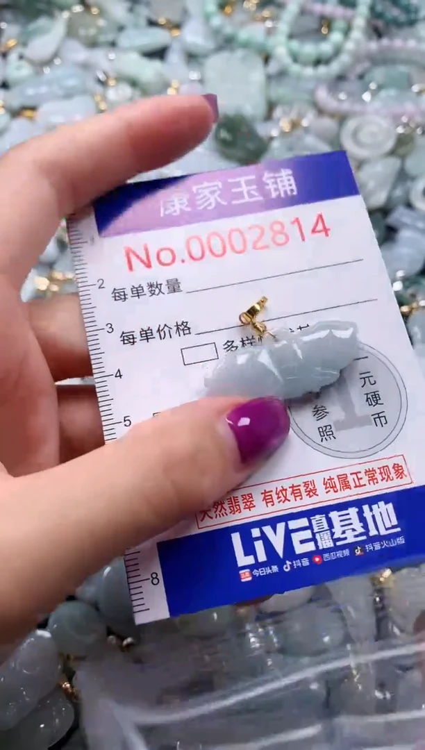 颈饰未镶嵌翡翠2814