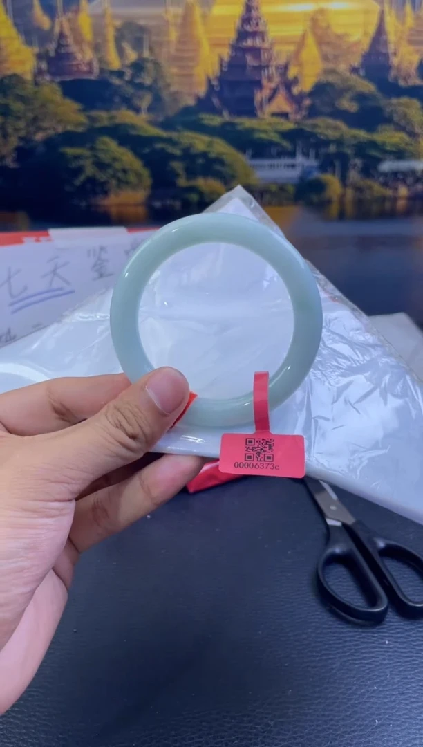 未镶嵌手镯翡翠5