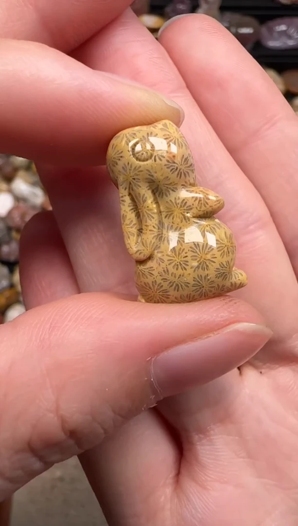 硅化珊瑚（珊瑚玉）未镶嵌颈饰160