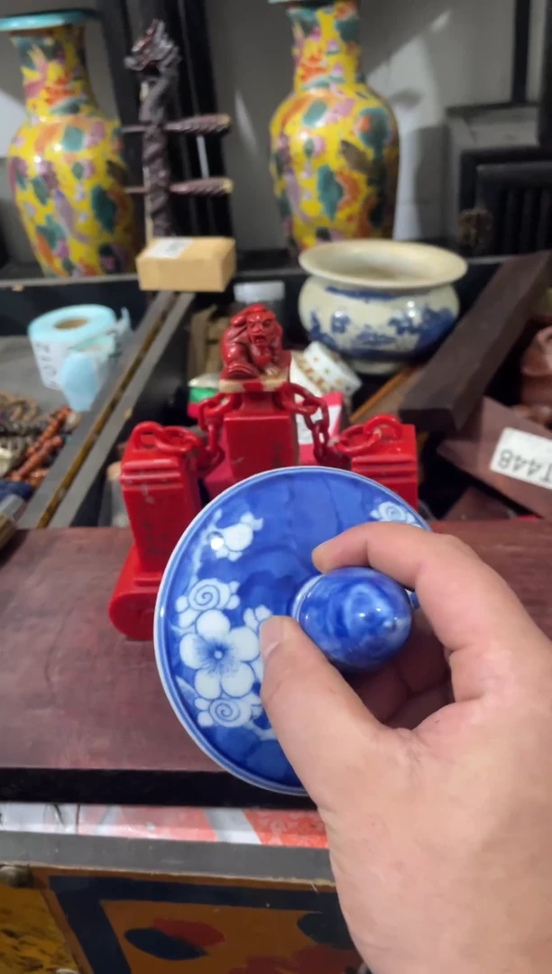 瓷片主播推荐精选好物