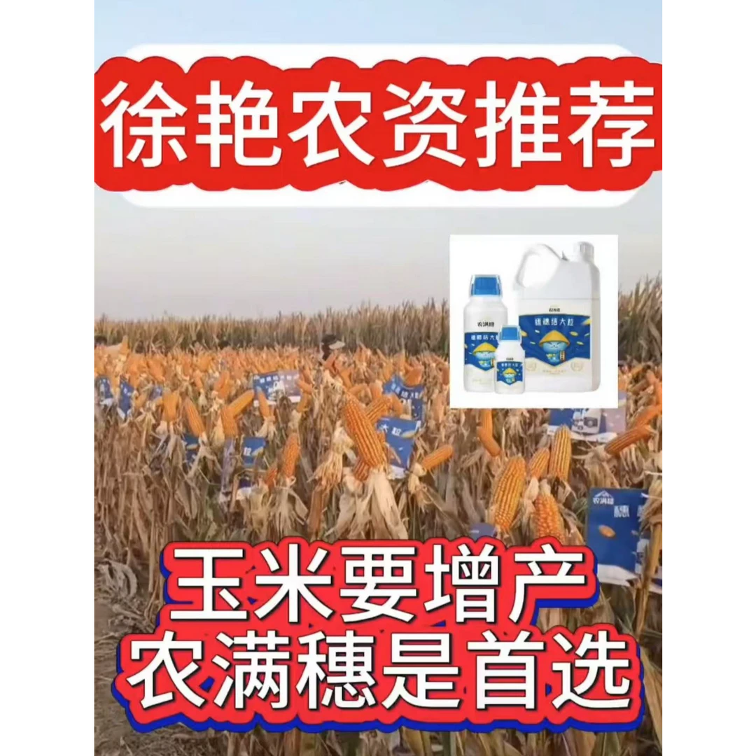 农满穗玉米见效更快的增产配方