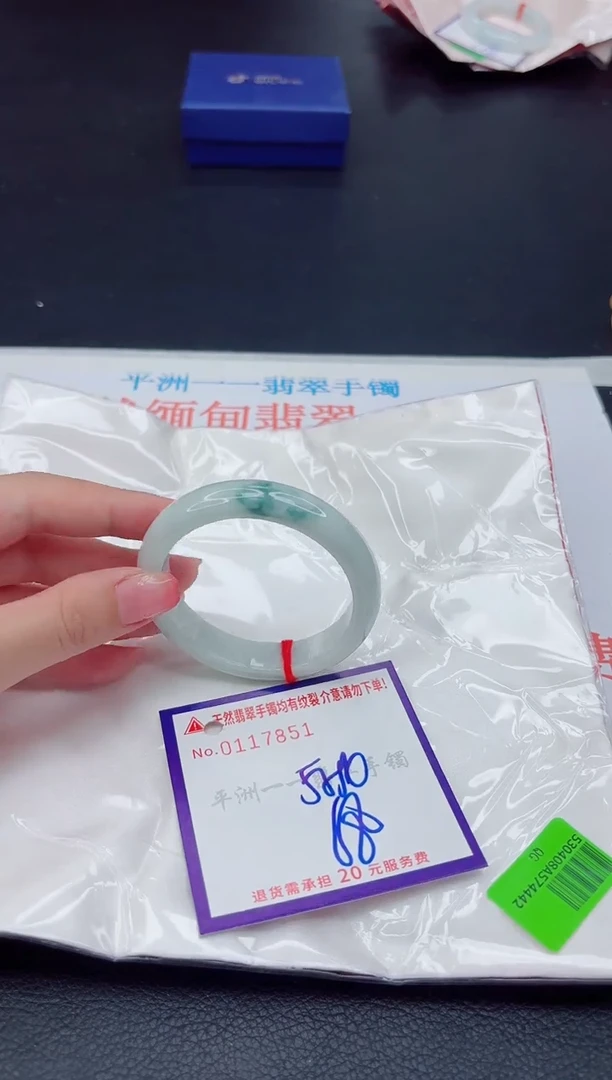 未镶嵌手镯翡翠1