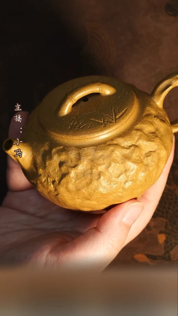 茶壶紫砂竹石 四号井段泥