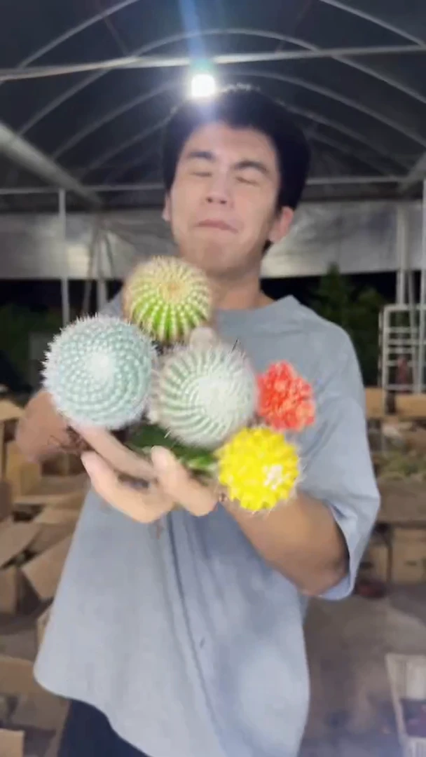 5色球组合【嫁接】