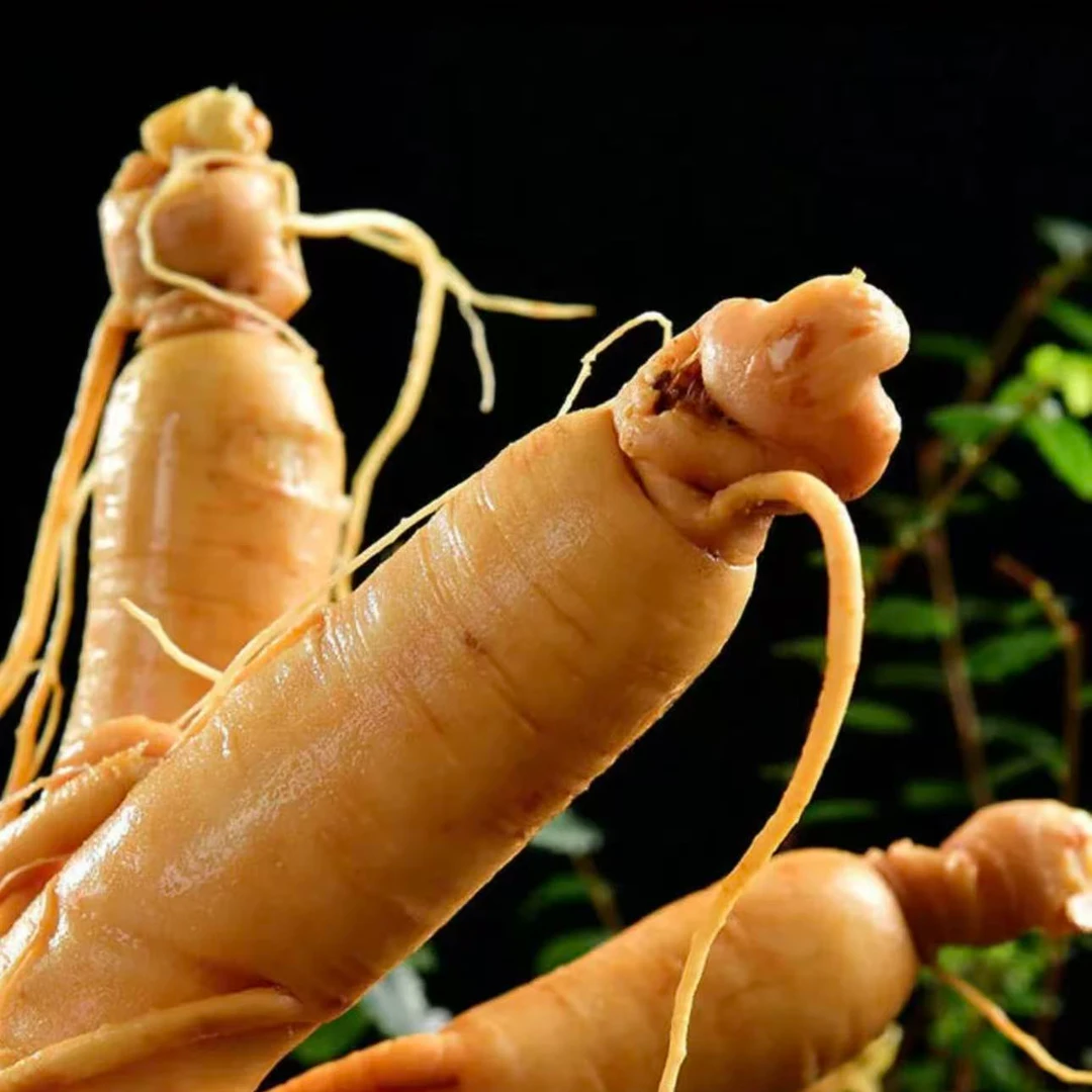 2号长白山新鲜人参可用于泡酒煲汤滋补佳品