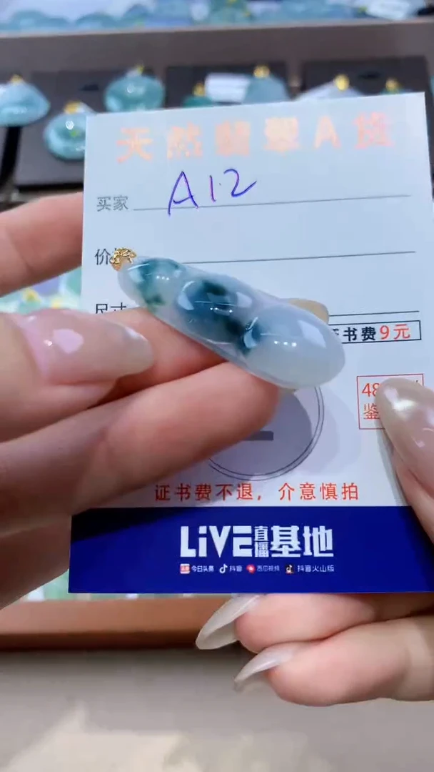 颈饰未镶嵌翡翠 天然翡翠A货挂件