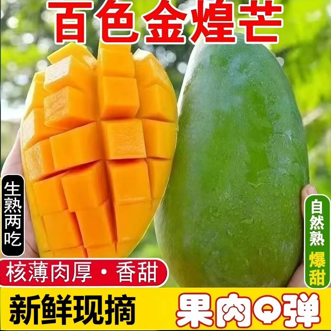 【百色金煌芒】10斤装正宗广西百色金煌芒香甜软糯百色产地直发