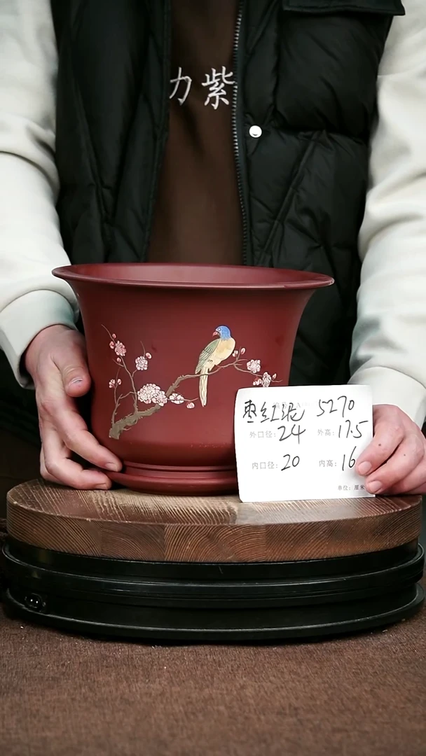 紫砂花盆花卉园艺5270+Z