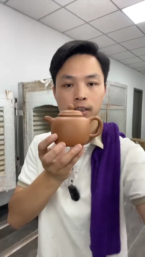 茶壶紫砂蟹黄段袍尊