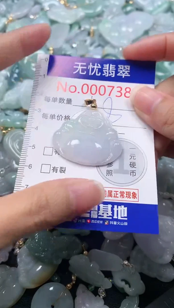 颈饰未镶嵌翡翠7385