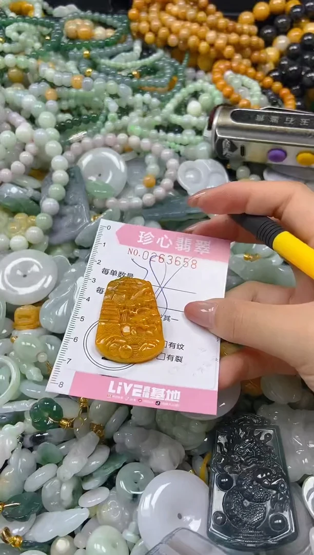 翡翠未镶嵌颈饰闪购0263658