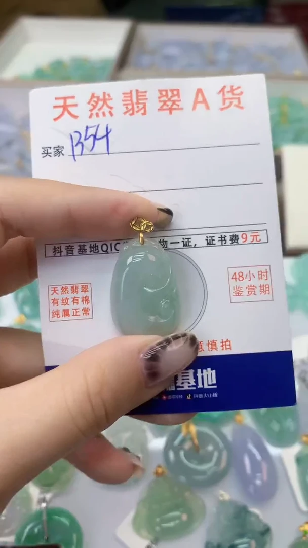 颈饰未镶嵌翡翠天然A货翡翠挂件