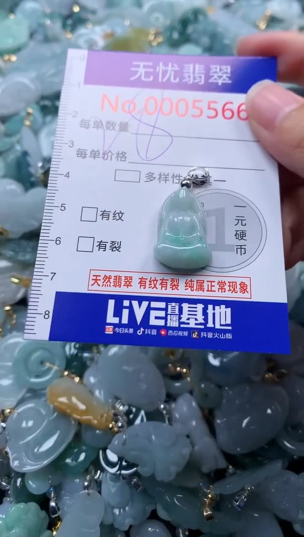 颈饰未镶嵌翡翠5566