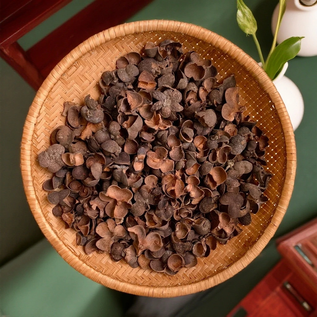 老茶果壳广西正宗六堡茶2005年茶果壳