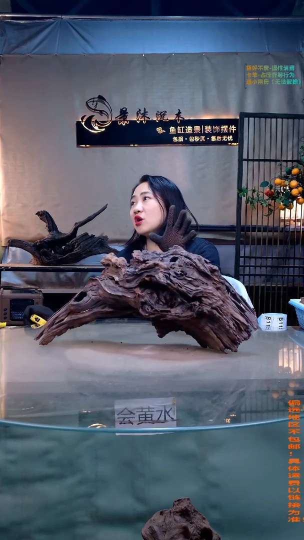 摆件景沐沉木B110 55-16-26-