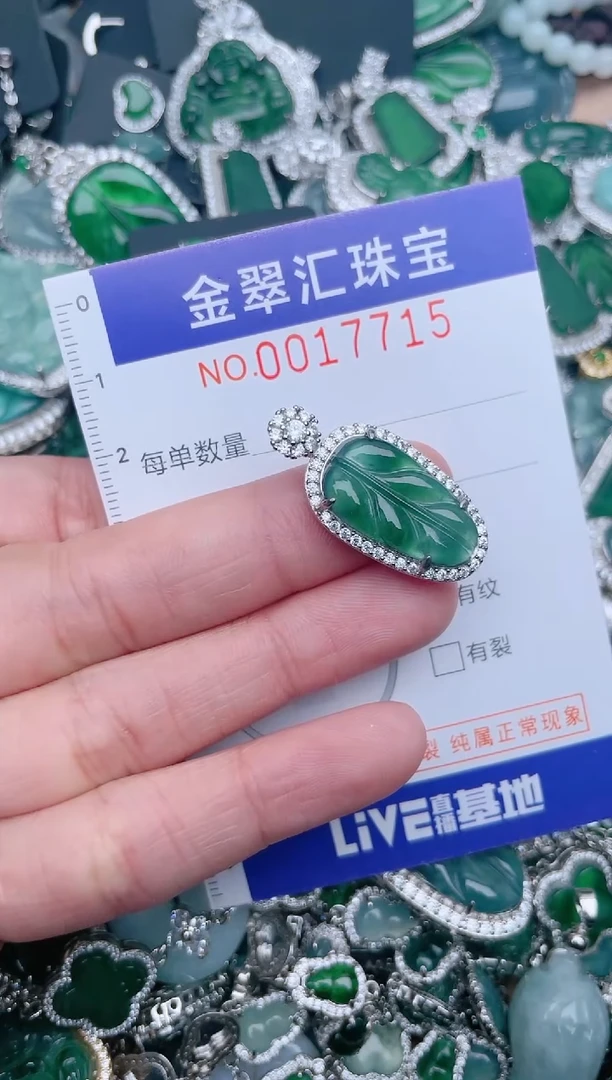 【闪购商品】翡翠颈饰未镶嵌17715.....1