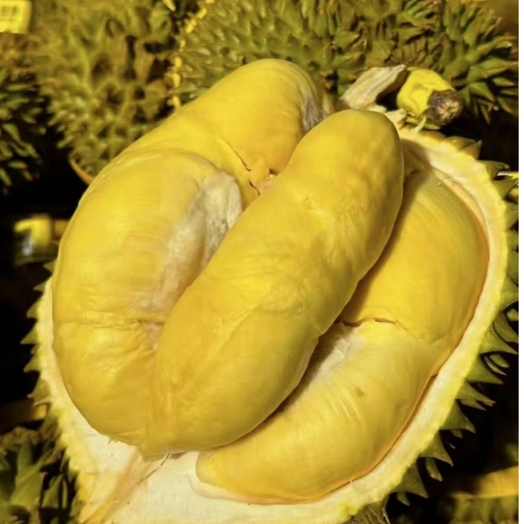 泰国金枕 树熟AA级巴掌金枕榴莲 3-8斤 鲜榴莲 核小  软糯香甜   哈尔滨同城配送金枕泰国