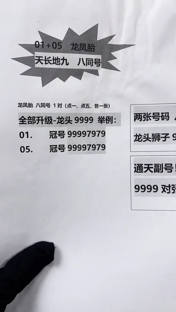 【通天狮子9】龙凤胎.册 对张福利