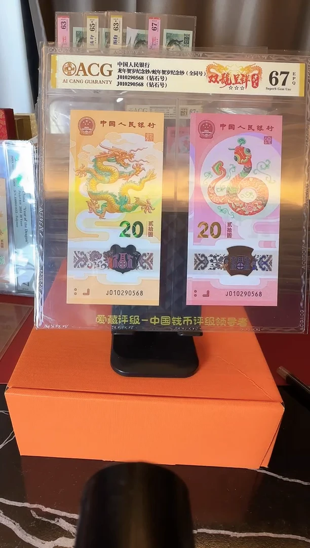 塑料2025 龙蛇全同号 一对 如图