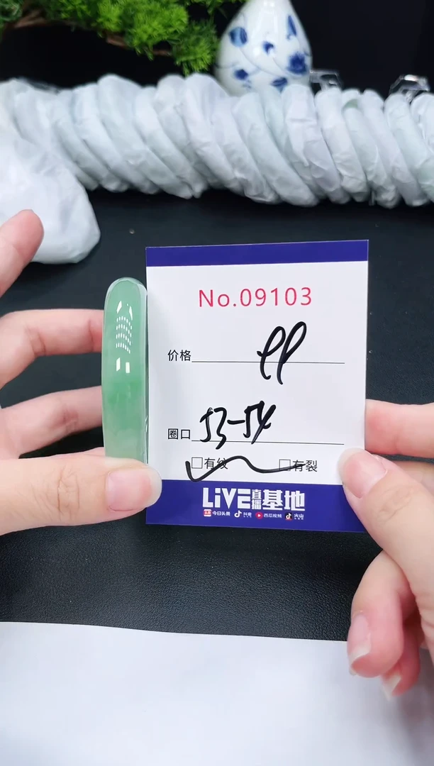 未镶嵌手镯翡翠9103