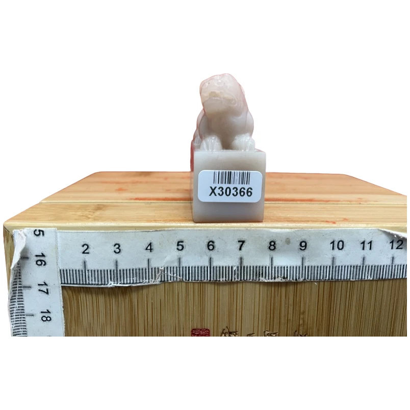 篆刻董晓坤X30366独立天地间（10）