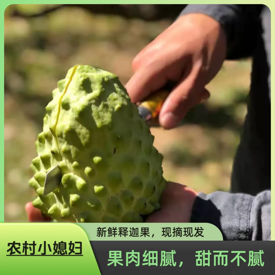 凤梨释迦果3斤装【催熟后食用，生切不售后】新鲜香甜释迦摩尼水果
